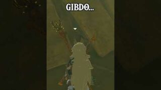 BULLYING A Gibdo… 💀 (Zelda TOTK)